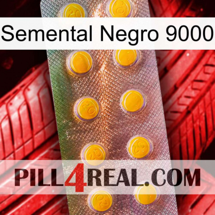Black Stallion 9000 new11